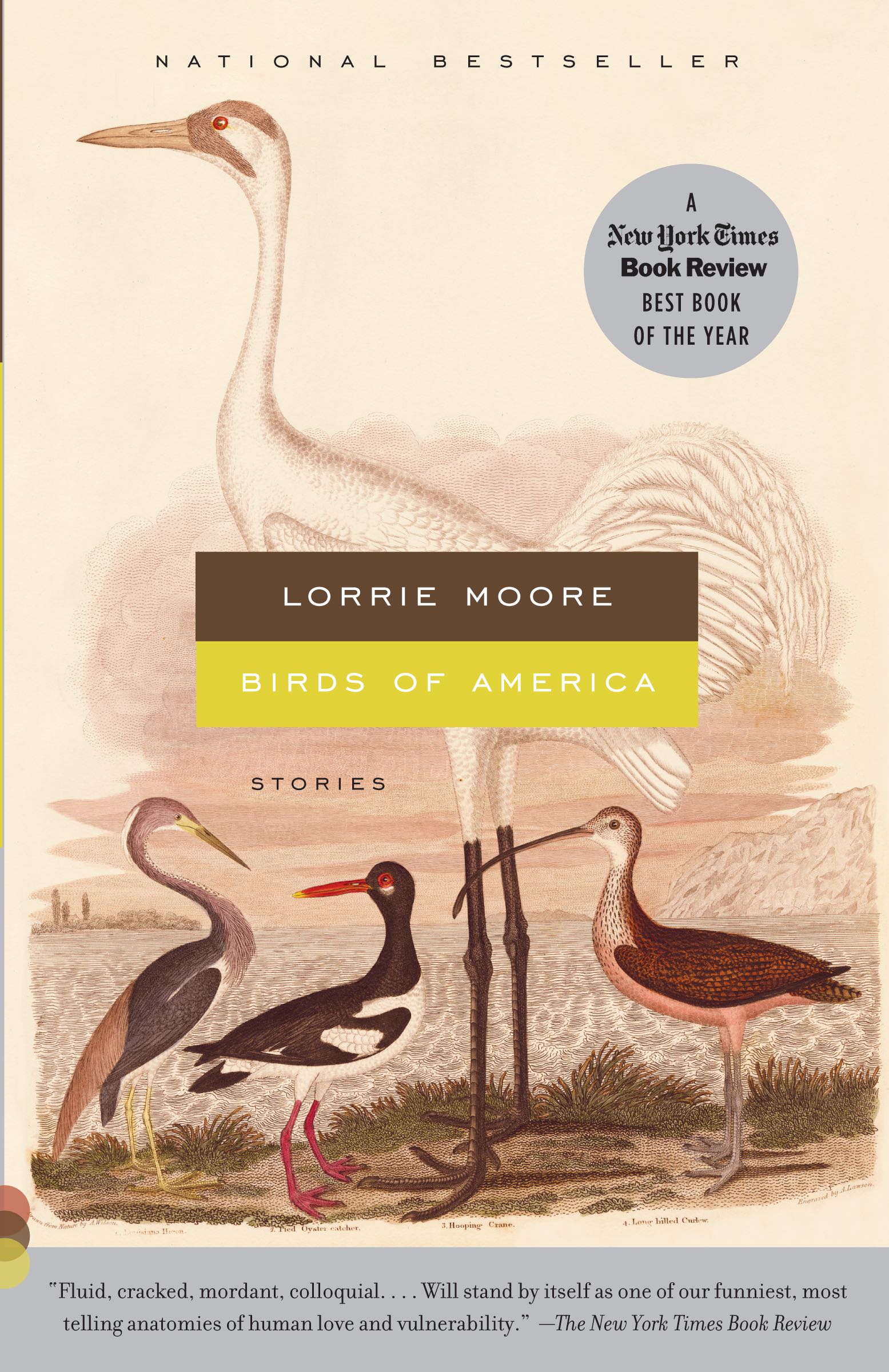 birds-of-america-onegrandbooks