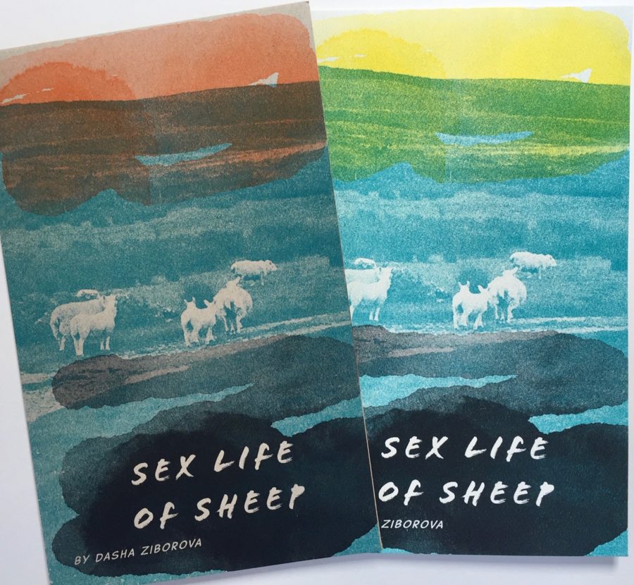 Sex-Life-of-Sheep